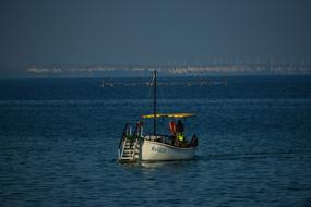 Sea Boat