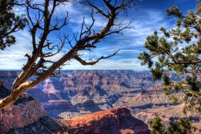 Grand Canyon Arizona