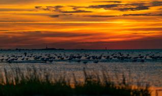 Nature Sunset Sky