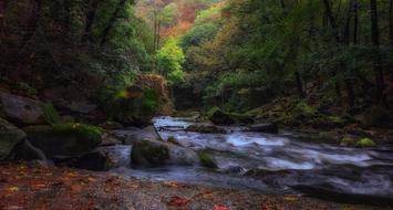 River Landscape Resin