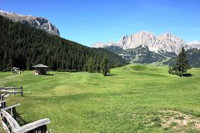 Nature Grass Landscape