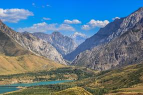 Summer Nature Landscape