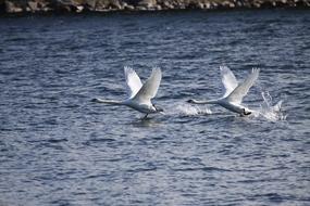 Water Nature Sea