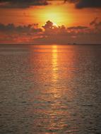 golden evening sun reflected on the water surface