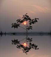 Sunset Evening Sun