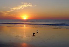 Sunset Dawn Water