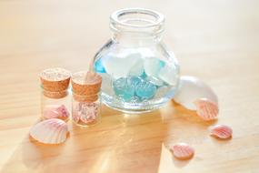 Glass Bottle Shell Sea