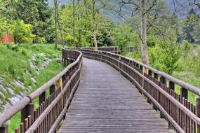 Wood bridge in park