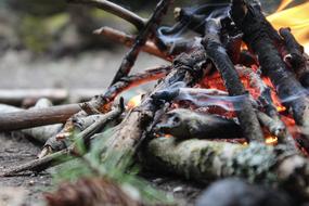 camping, tree branches in the fire