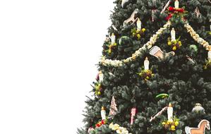 Christmas Tree Decor
