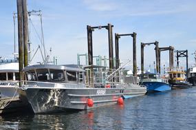 Boat Harbor Water