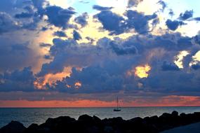 Nature Sunset Summer
