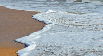 Ocean Surf Foam Wave