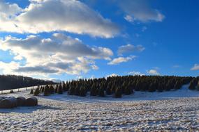 Field Snow Winter