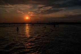 Sea Water at sunset in Venice