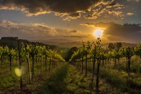 Tuscany Italy Landscape