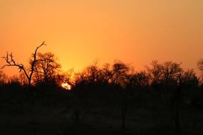 Africa Sunset Safari