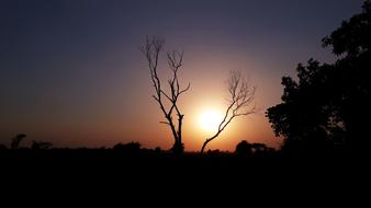Sunset Dawn Nature