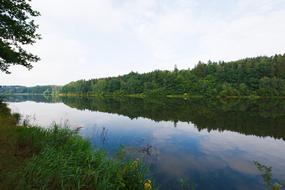 Nature Waters Landscape