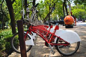 Cdmx Bicycles in Park