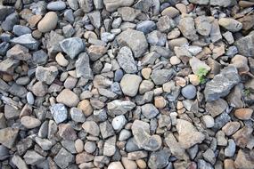 Rocks Beach Outdoor