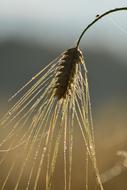 Nature Outdoor Himmel No
