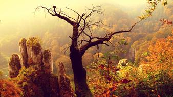 Paternity National Park Autumn