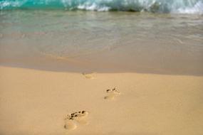 Footprints Sand Beach