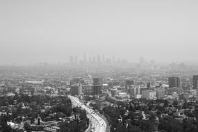 Los Angeles City Landscape