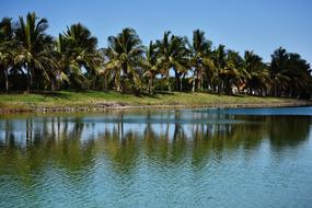 Tropical Body Of Water island