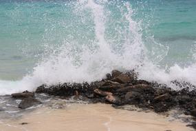 Ocean Water Waves