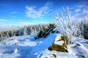 Snowy Winter nature