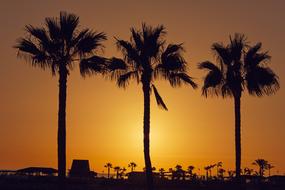 Gran Canaria Canary Islands