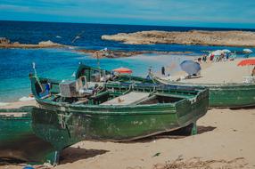 Boat Sea Life