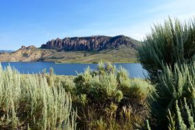 Mountain Desert Landscape