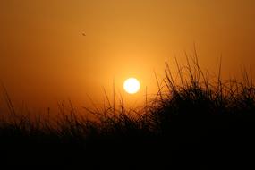 Sunset Dawn Sun