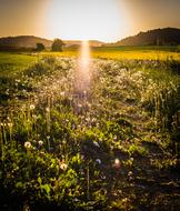 Landscape of Sunset in Nature