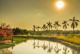 Home Country Scenery