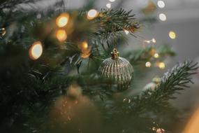 Christmas Tree Lights