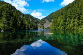 Lake Nature Beautiful