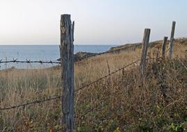 Fence Posts Barbed Wire