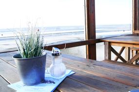 a plant in a pot and a sugar bowl on a table in a cafe