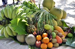 Fruits Beach Tropical