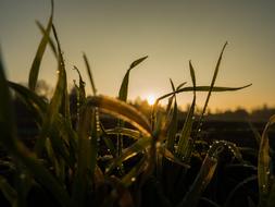 Sunrise Winter Landscape