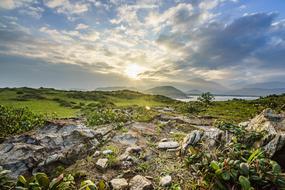 Vietnam Beach Seascape Quang