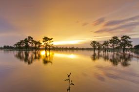 Sunset Water Dawn