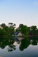 House Lake Trees
