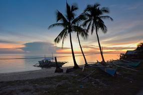 Tree Beach Island