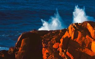 Ocean Waves coastline