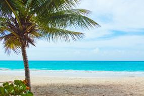 Beach Beautiful Blue